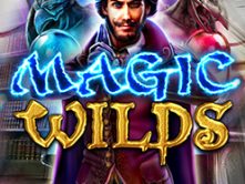 Magic Wilds