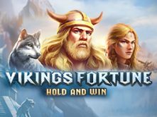 Vikings Fortune: Hold and Win